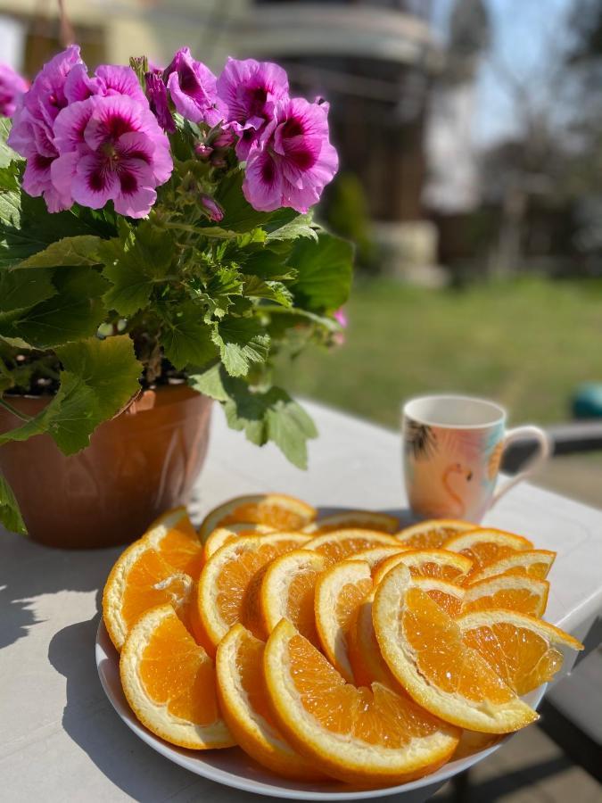 Guest House Kobuleti Εξωτερικό φωτογραφία